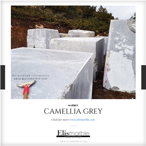 Camellia Grey Marble Blocks