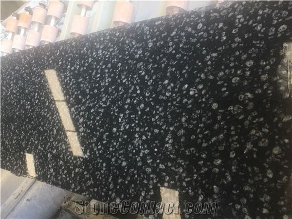 Coin Black Granite Slabs