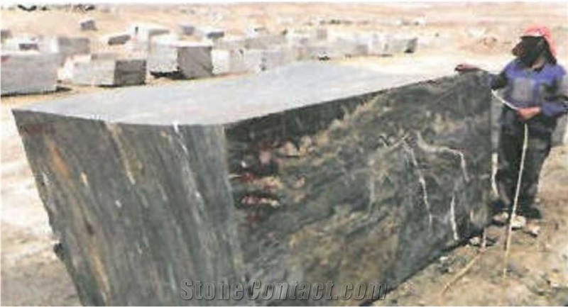 Niloofar Marble