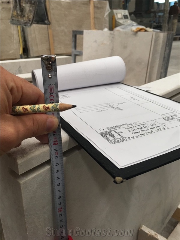 Inspection & Consulting Service