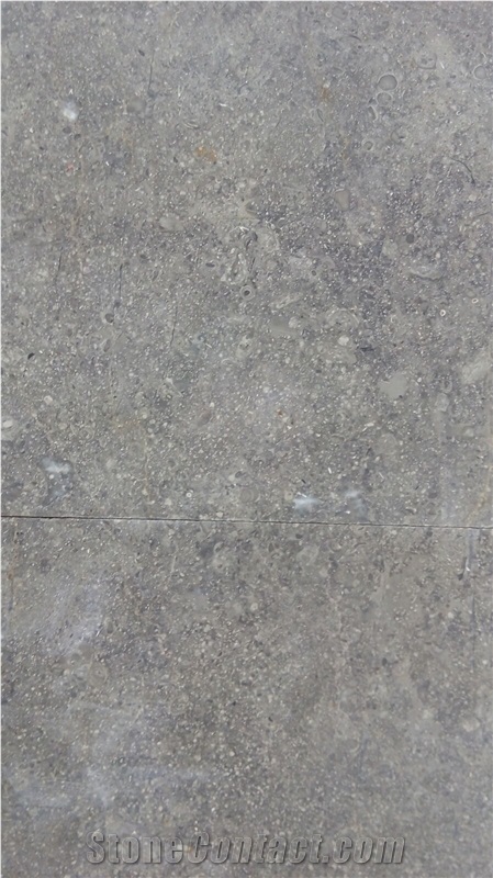 Sinai Grey Limestone Tiles