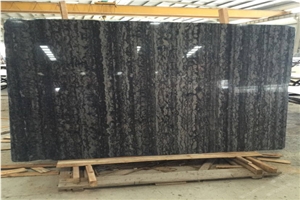Black Illusion Quartzite Slabs