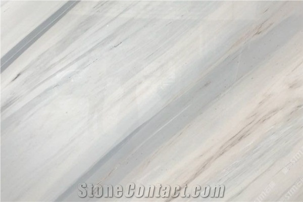 Palissandro White Marble White