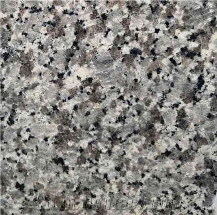 Swan White Granite Kitchen Countertops
