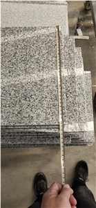 China Cheap Grey Granite G603 Tiles