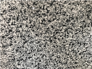 New Halayb Dark Granite