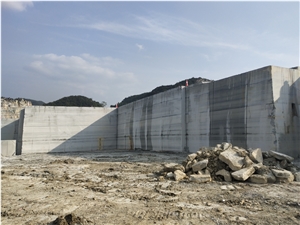 China Own Quarry Blue Wooden Vein Marble