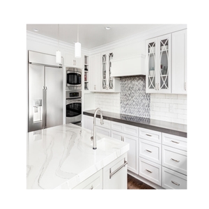 Black White Mirror Fleck Quartz Countertop