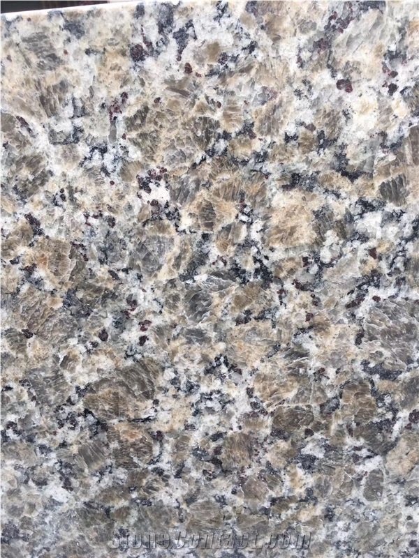 Butterfly Gold Granite Stone Slabs Tiles Floor