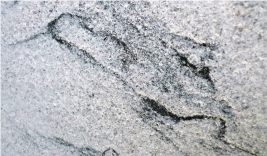 Viskong White Granite Kitchen Wall Slabs Tiles