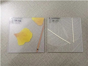 High Quality Acrylic Material / 6mm Acrylic