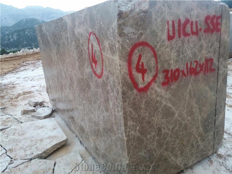 Brown Spider Emperador Marble Blocks