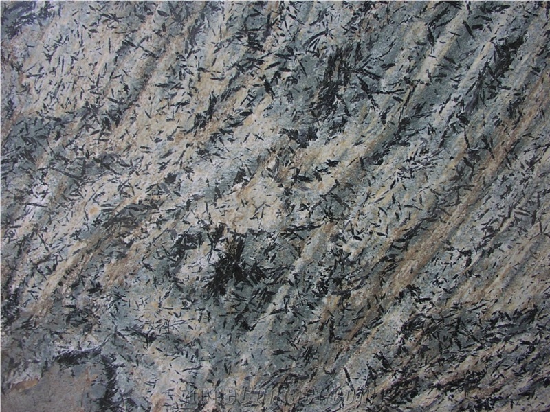 Tiger Crowsfoot Schist- Us Schist Stone