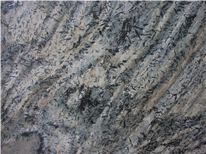 Tiger Crowsfoot Schist- Us Schist Stone