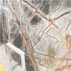 India Rain Tropic Forest Marble Rainforest Stone