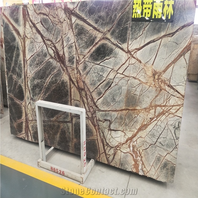 India Rain Tropic Forest Marble Rainforest Stone