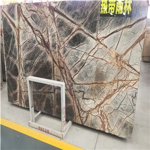 India Rain Tropic Forest Marble Rainforest Stone