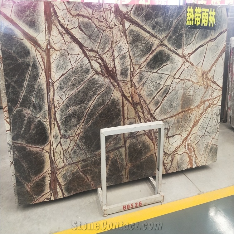 India Rain Tropic Forest Marble Rainforest Stone