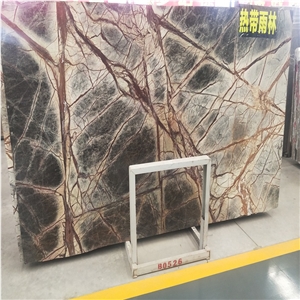 India Rain Tropic Forest Marble Rainforest Stone