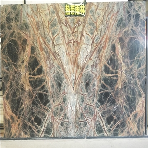India Rain Tropic Forest Marble Rainforest Stone
