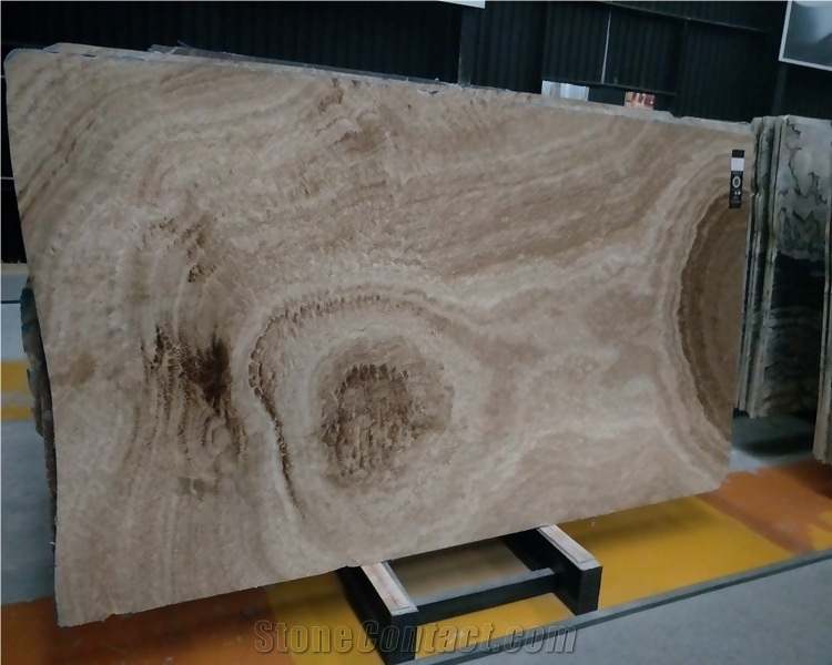 Polished Ancient Wood Veins Brown Marble Slabs