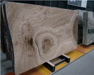 Polished Ancient Wood Veins Brown Marble Slabs