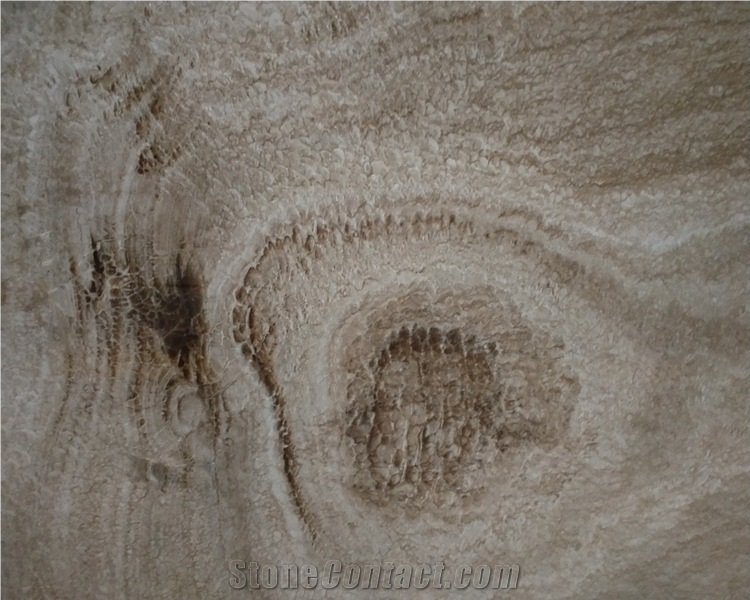 Polished Ancient Wood Veins Brown Marble Slabs