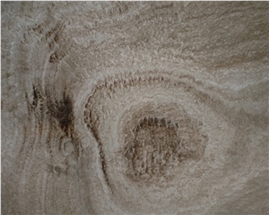 Polished Ancient Wood Veins Brown Marble Slabs