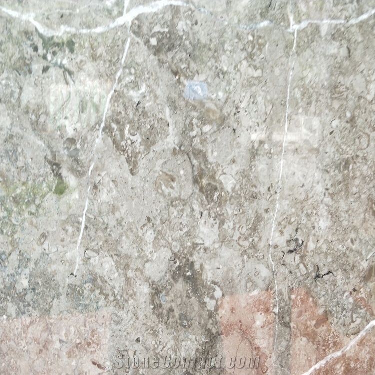Scottish Gray Marble Grey Stone Slabs and Tiles
