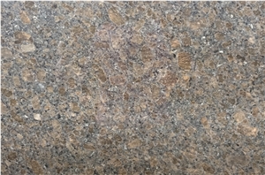 Coffee Brown Granite Slabs, Tiles