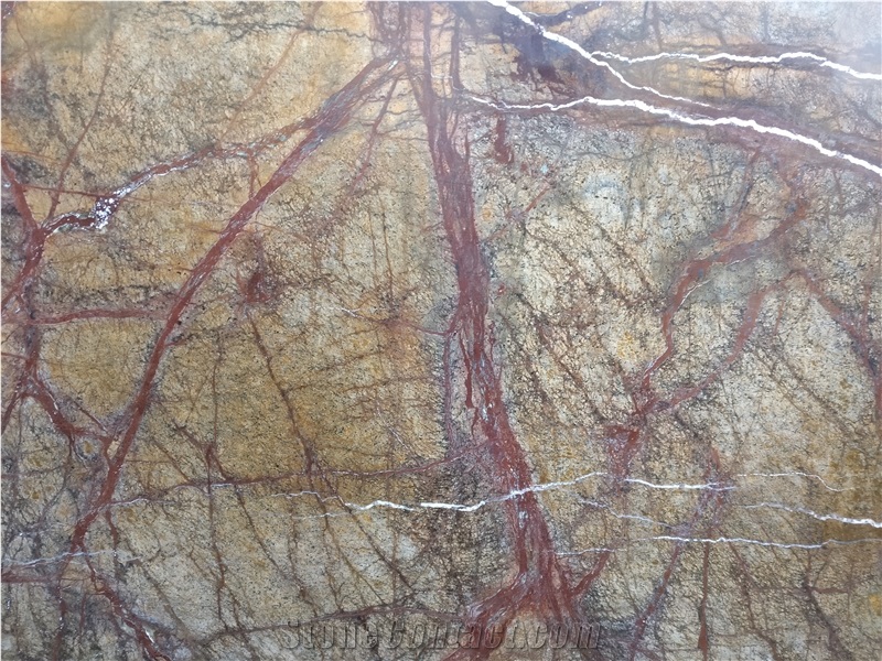 Rainforest Brown Marble