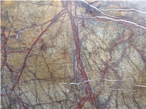 Rainforest Brown Marble Rainforest Brown Marble