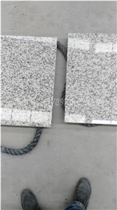 Tiger Skin White Granite Kithchen Top Bar Top