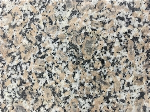 New G664 Wulian Red Flower Granite Tiles