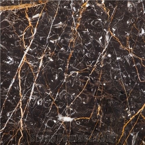 Golden Black Marble, Kashan Golden Black Marble