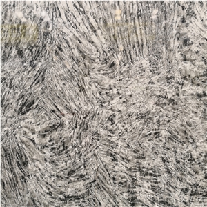 Arctic Fox Grey Marble Slab Tile Price