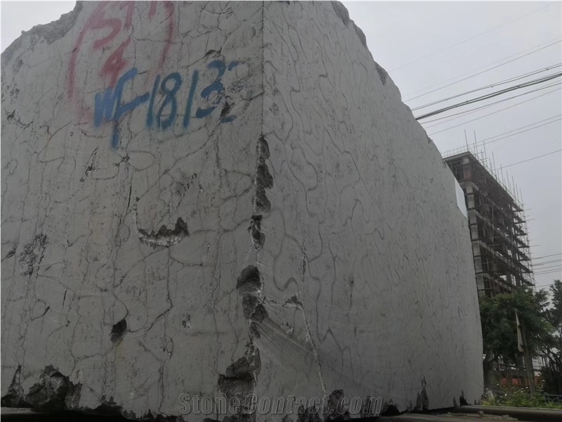 Chinese Gulong Oracle Grey Marble Slab Price