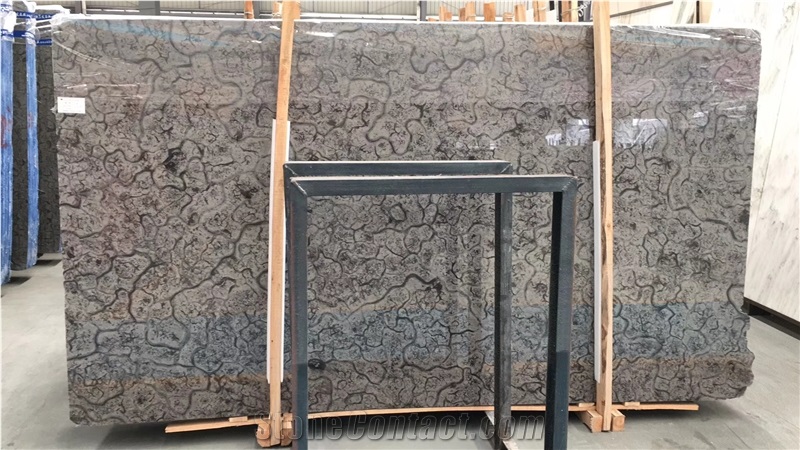 Chinese Gulong Oracle Grey Marble Slab Price