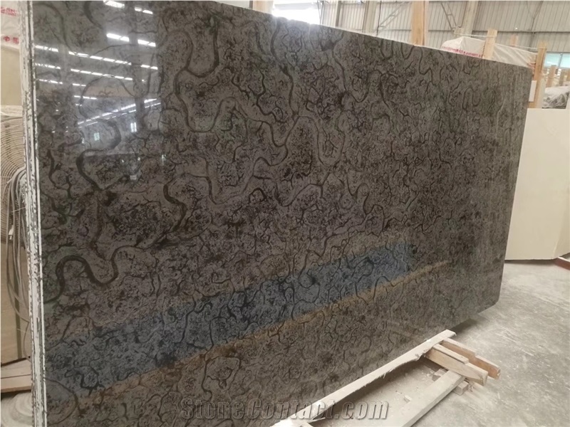 Turtle Venato Grey Marble Slab Tile Price