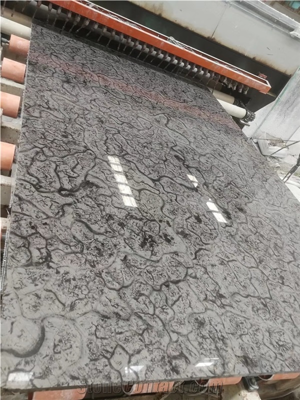 Turtle Venato Grey Marble Slab Tile Price