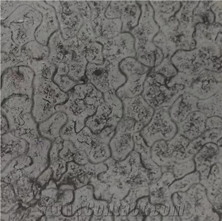 Turtle Venato Grey Marble Slab Tile Price