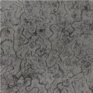 Turtle Venato Grey Marble Slab Tile Price