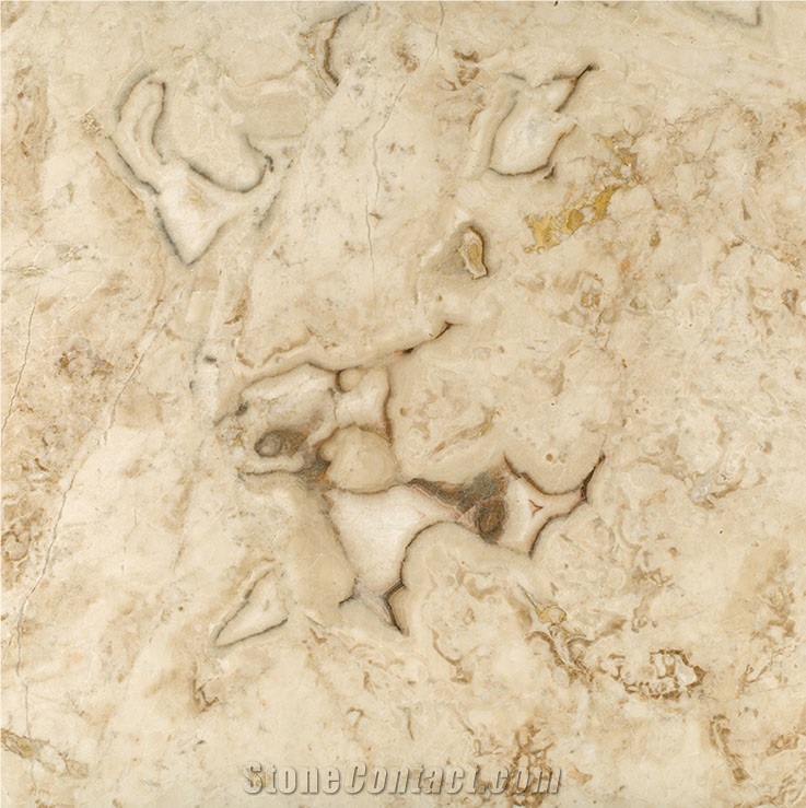 Talmer Cappuccino Creamline Marble Tiles, Slab