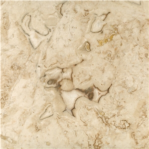 Talmer Cappuccino Creamline Marble Tiles, Slab