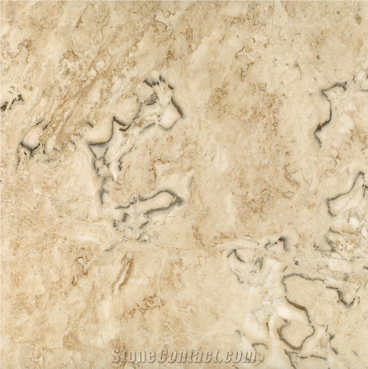 Talmer Cappuccino Creamline Marble Tiles, Slab