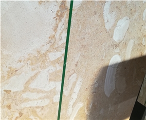 Coral Stone, Coral Limestone