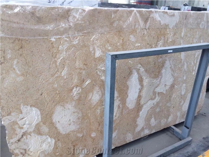 Coral Stone, Coral Limestone