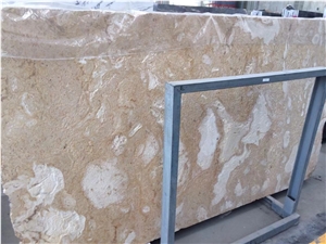Coral Stone, Coral Limestone