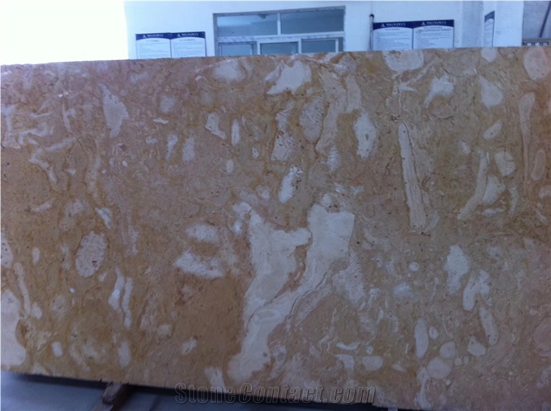 Coral Stone, Coral Limestone