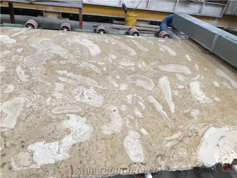 Coral Stone, Coral Limestone